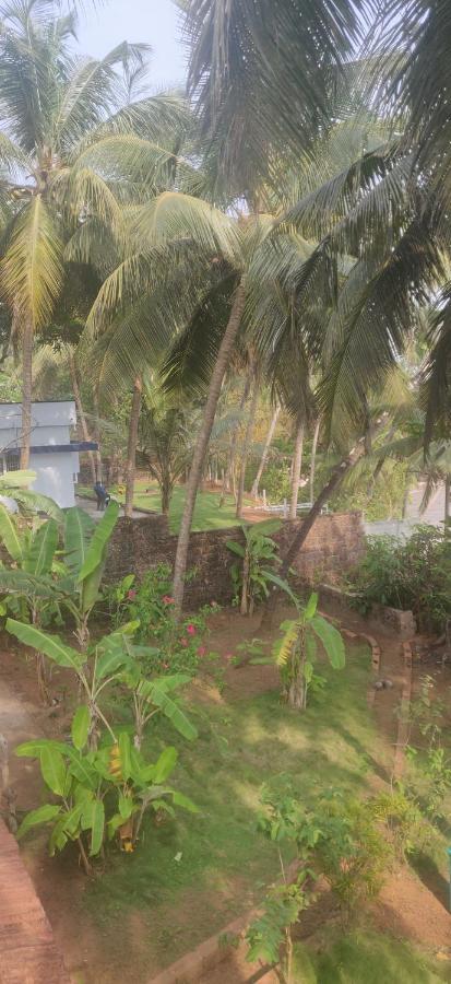 Perch By The Sea Bed & Breakfast Kannur Exterior foto