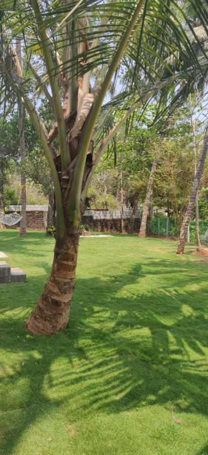 Perch By The Sea Bed & Breakfast Kannur Exterior foto