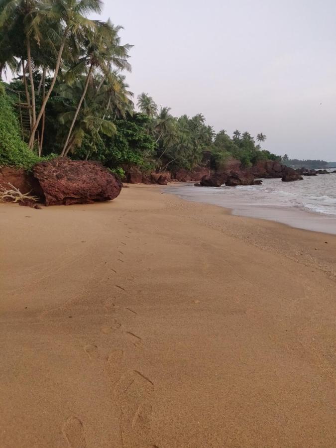 Perch By The Sea Bed & Breakfast Kannur Exterior foto