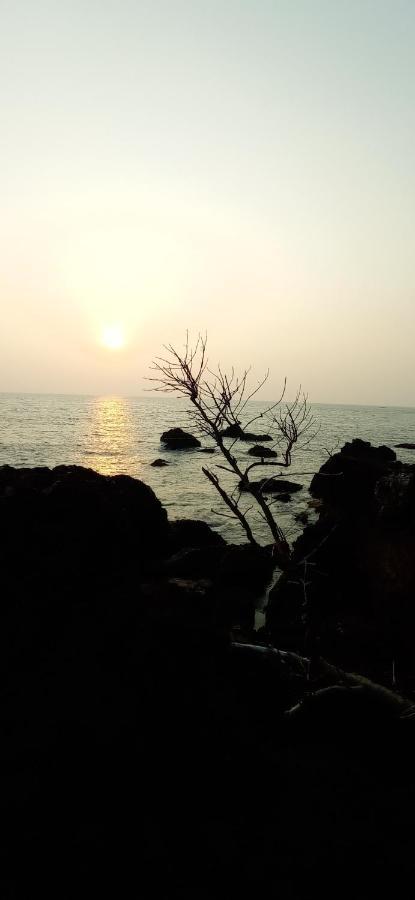 Perch By The Sea Bed & Breakfast Kannur Exterior foto